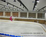 Ice Hockey Hall of Qingdao Gymnasium