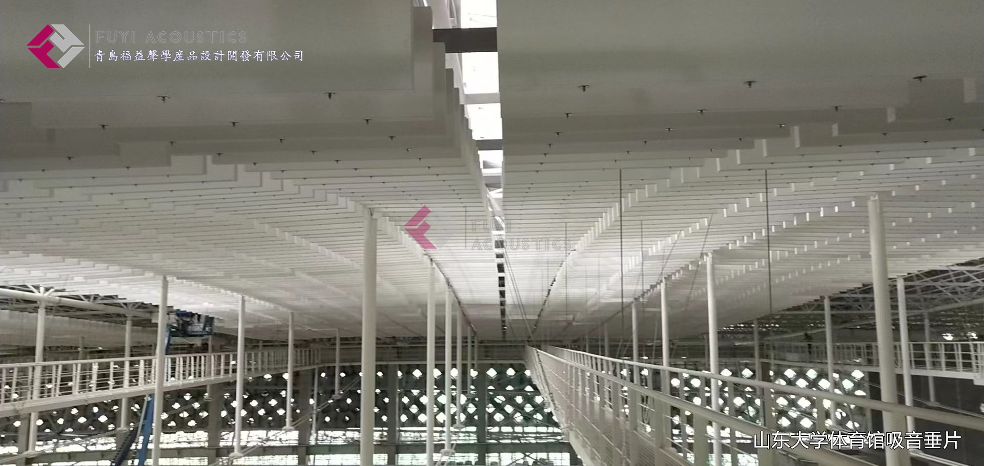 山东大学体育馆